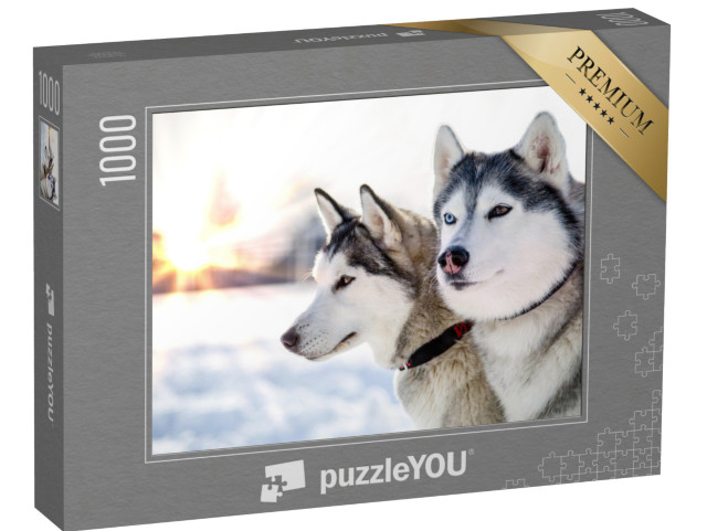 Puzzle 1000 Teile „Zwei Sibirische Huskys im winterlichen Sonnenuntergang“