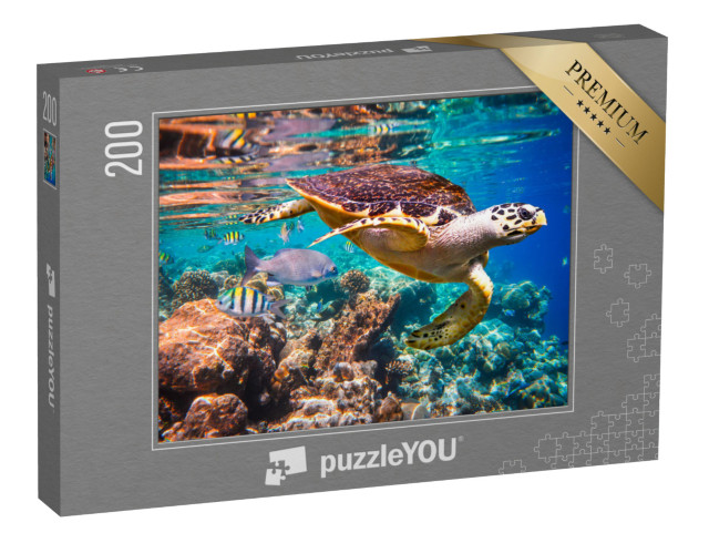 Puzzle 200 Teile „Echte Karettschildkröte im Korallenriff“