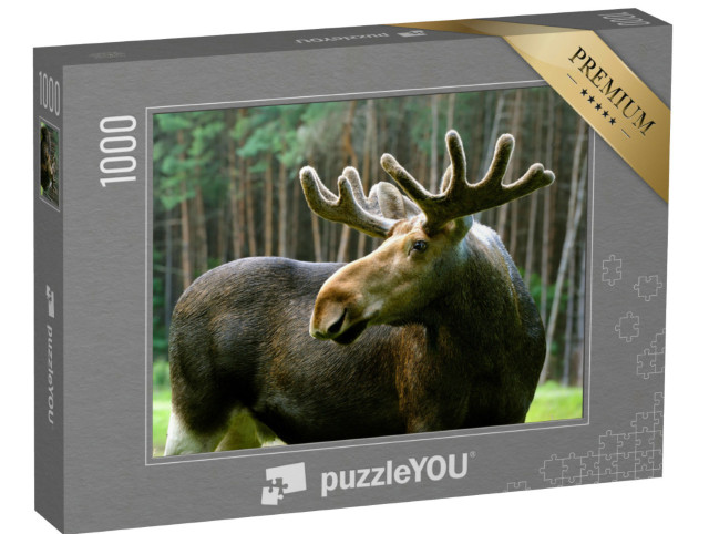 Puzzle 1000 Teile „Elch in seinem natürlichen Lebensraum“