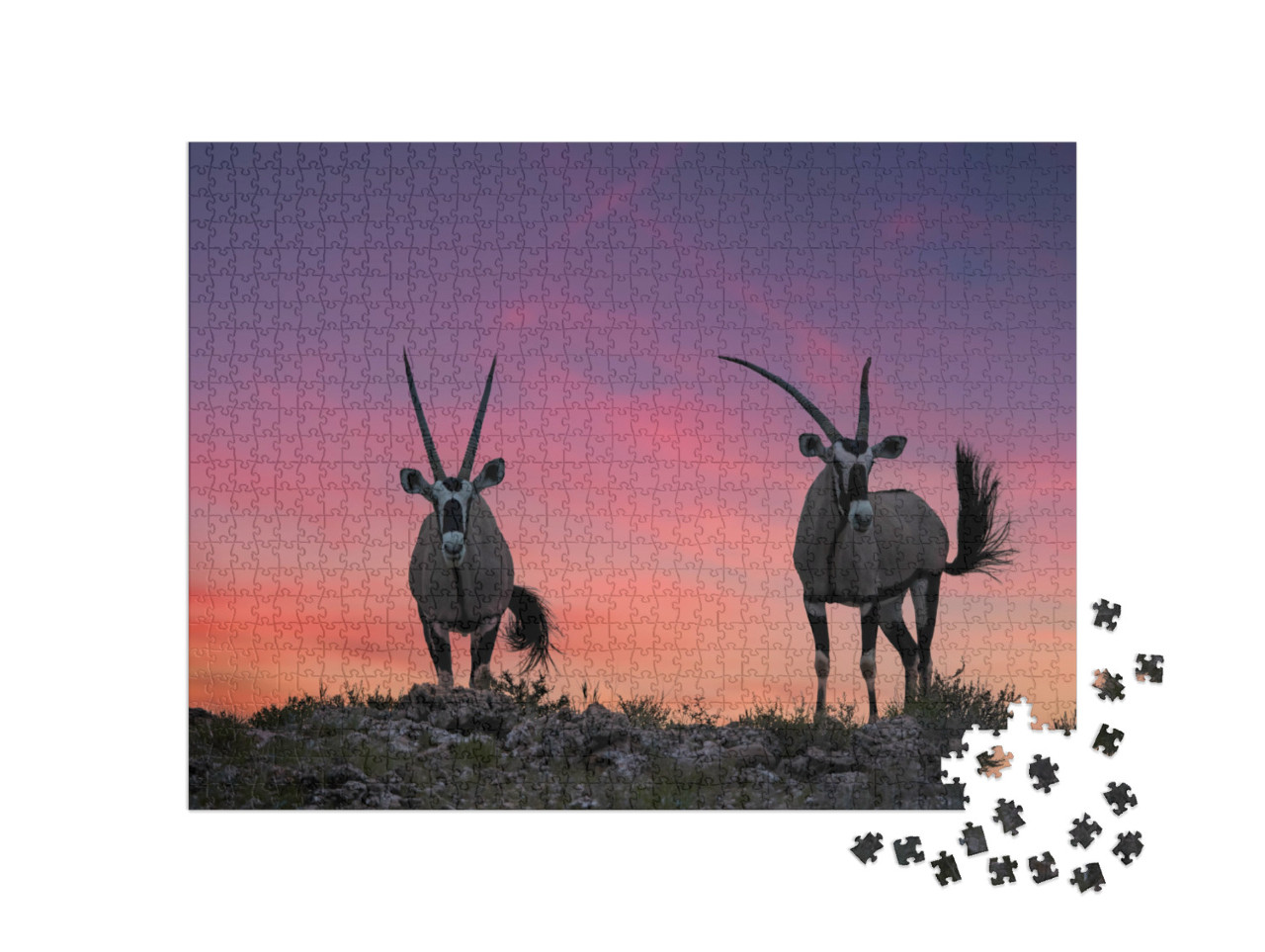 Puzzle 1000 Teile „Zwei große Antilopen mit spektakulären Hörnern, Kalahari“