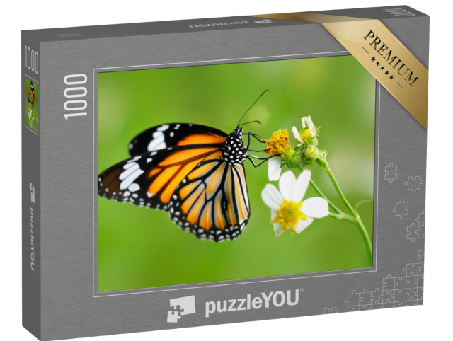 Puzzle 1000 Teile „Schmetterling der Gattung Gewöhnlicher Tigerfalter auf einer Blüte“
