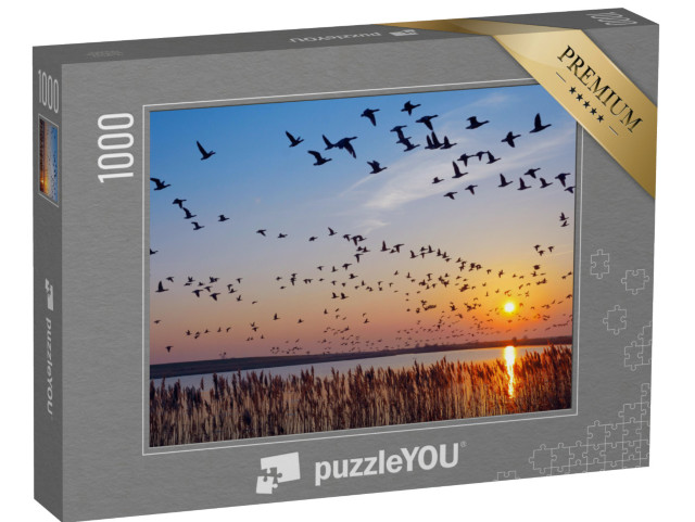 Puzzle 1000 Teile „Gänse über Ostfriesland bei Greetsiel, Deutschland“