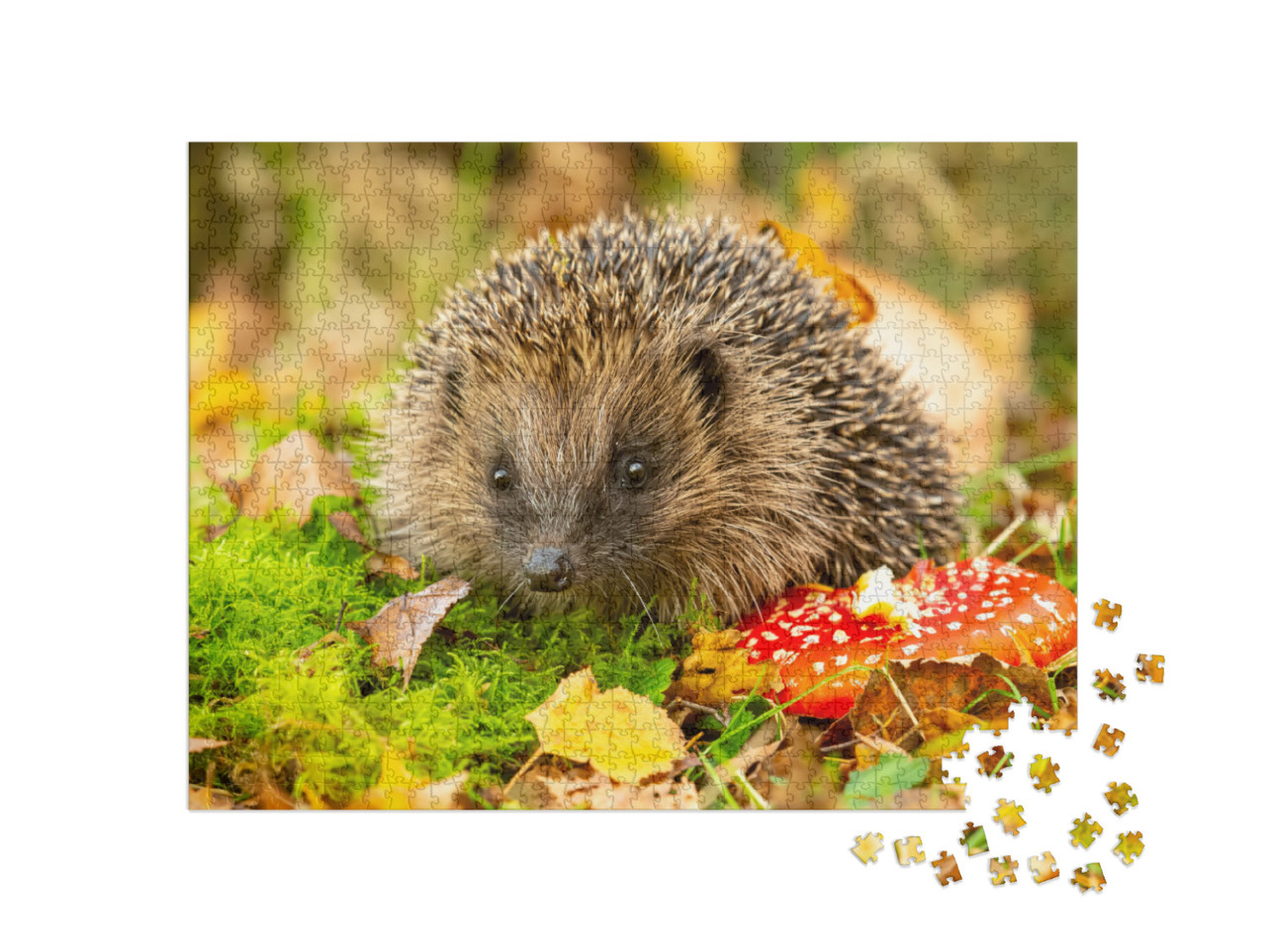 Puzzle 1000 Teile „Igel und Fliegenpilz“