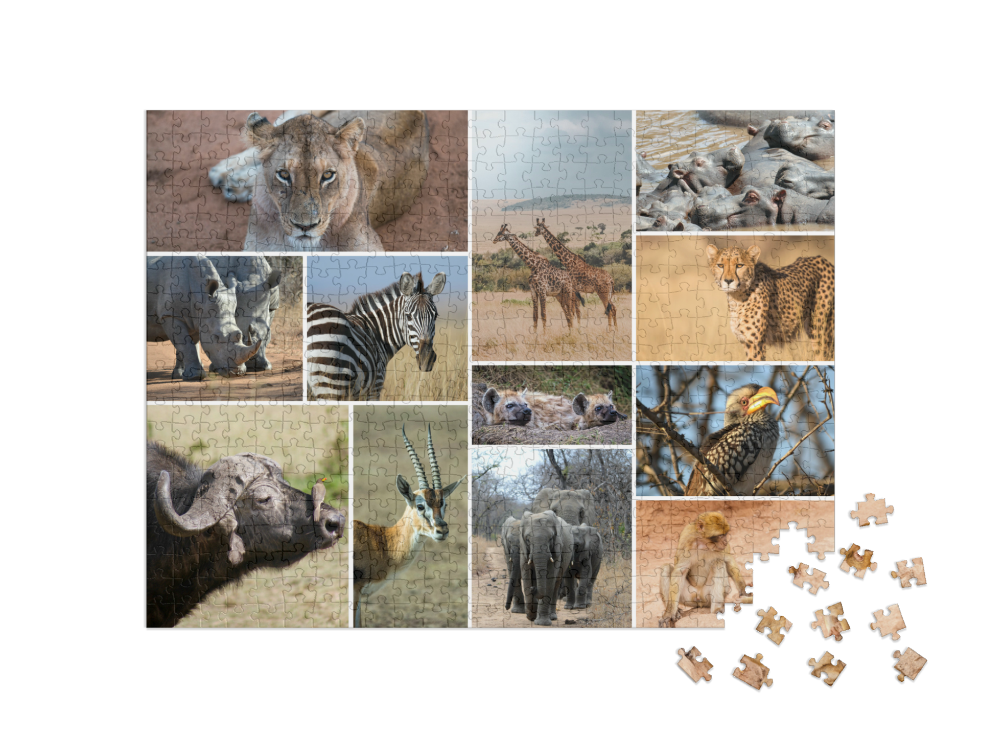 Puzzle Collage