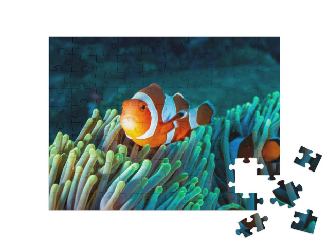 Puzzle 100 Teile „Bunter Clownfisch in einer Anemone im Korallenriff“