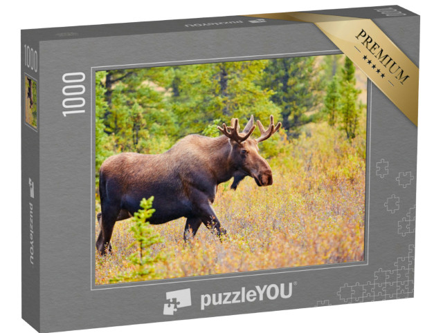 Puzzle 1000 Teile „Elch, Denali-Nationalpark, Alaska, USA“