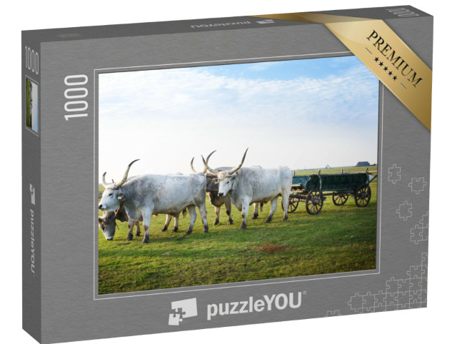 Puzzle 1000 Teile „Hortobagy National Park, Ungarn“