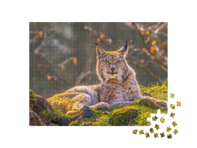 Puzzle 1000 Teile „Junger Luchs in der Wildnis des Waldes“