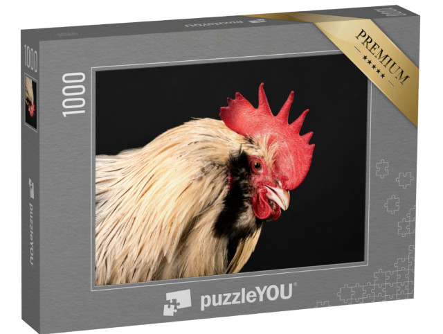 Puzzle 1000 Teile „Nahhaufnahme: Hahn“