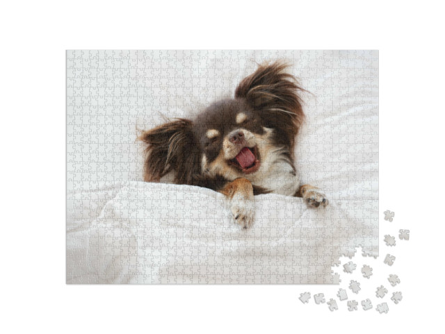 Puzzle 1000 Teile „Chihuahua-Hund schläft auf einem Kissen im Bett“
