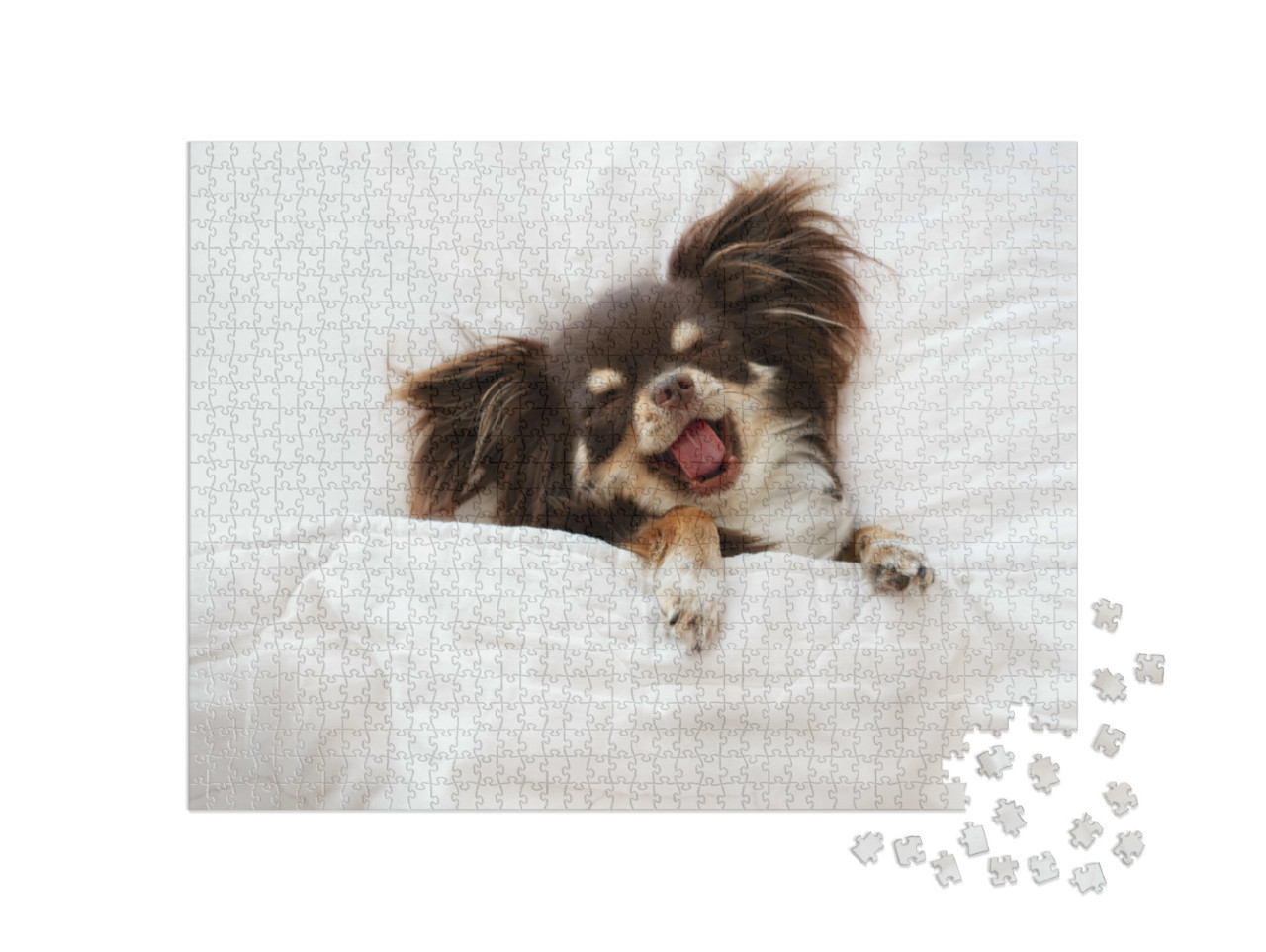 Puzzle 1000 Teile „Chihuahua-Hund schläft auf einem Kissen im Bett“