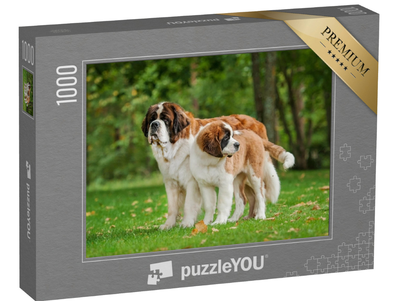 Puzzle 1000 Teile „Zwei Bernhardiner auf dem Rasen“