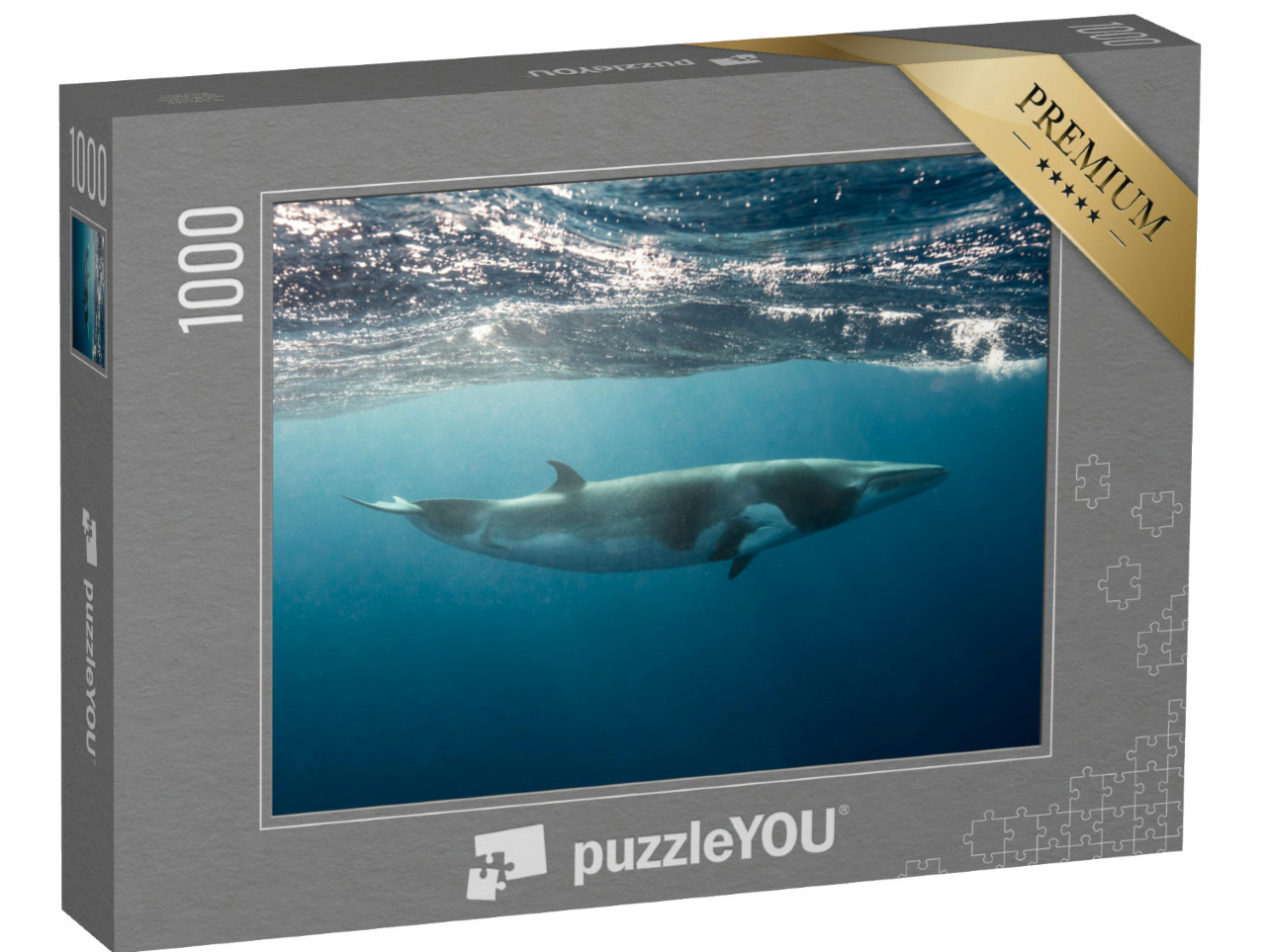 Puzzle 1000 Teile „Kleiner Wal am Great Barrier Reef  “
