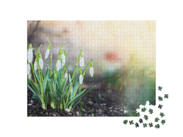 Puzzle 1000 Teile „Schneeglöckchen im Garten“