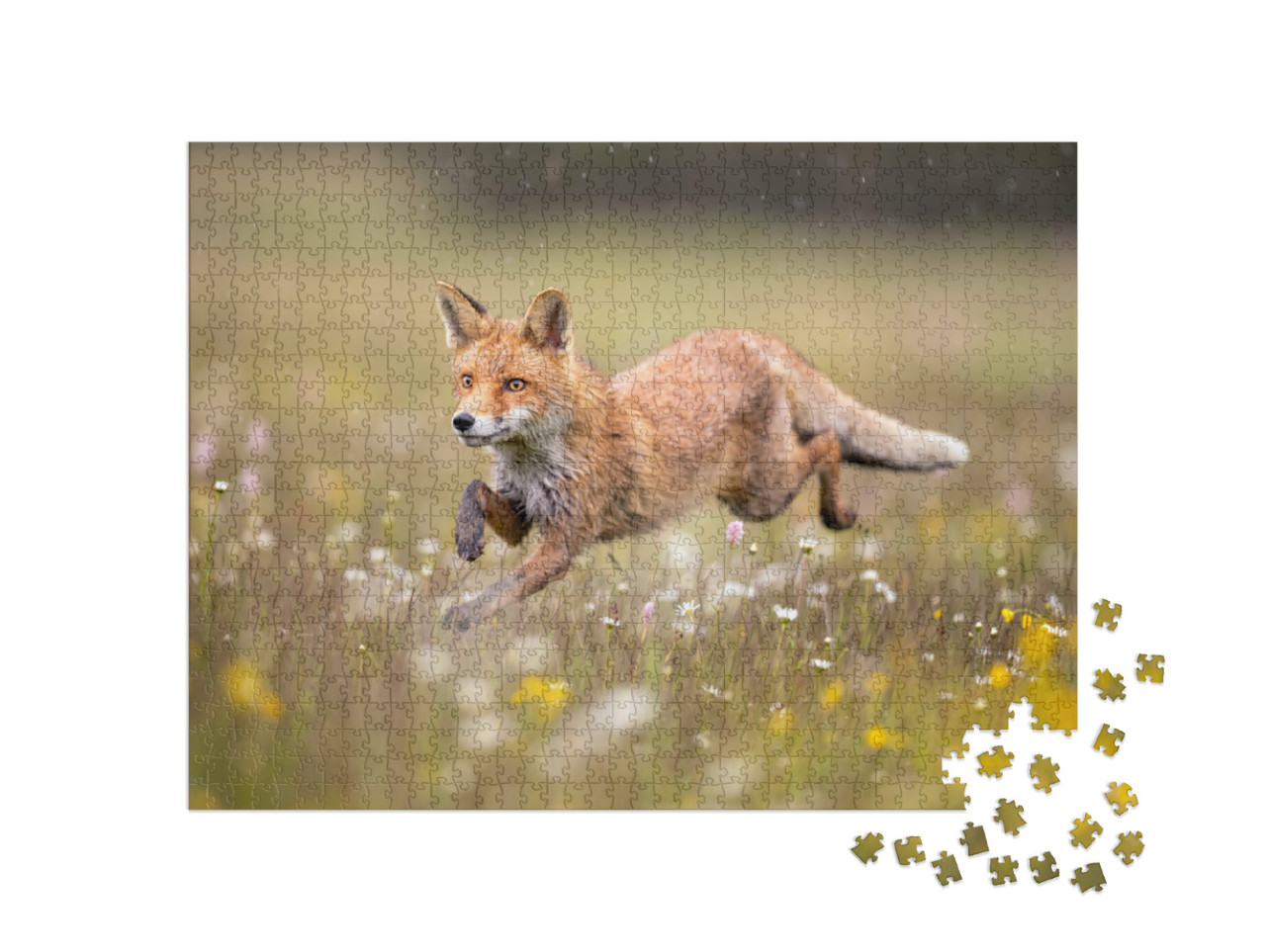 Puzzle 1000 Teile „Fuchs im Galopp über eine Blumenwiese“