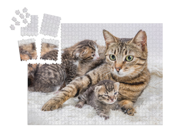 Puzzle „Katzenmutter und Katzenbaby, Kitten“ | SMART SORTED® 1000 Teile