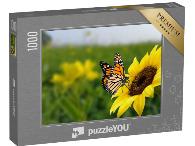 Puzzle 1000 Teile „Monarchfalter auf einer Sonnenblume“