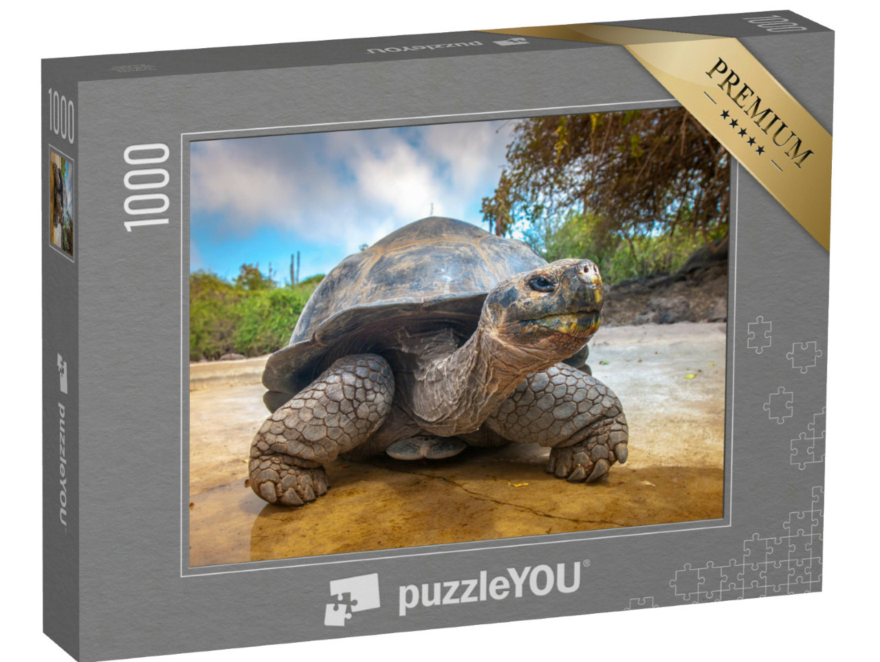 Puzzle 1000 Teile „Galapagos-Schildkröte, Ecuador“