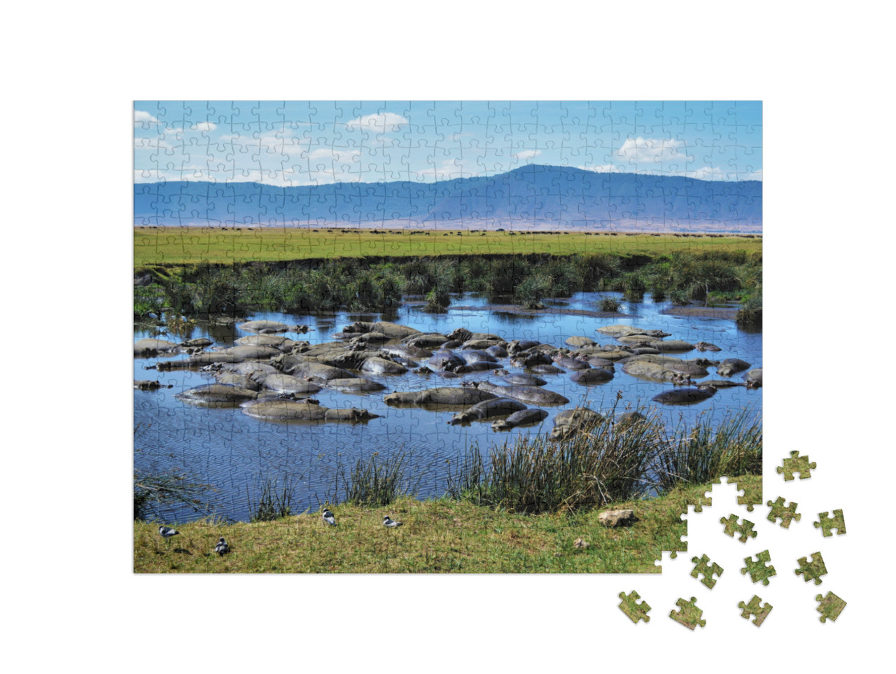 Puzzle 500 Teile „Nilpferdbecken, Ngorongoro-Krater, Tansania“