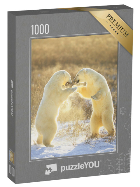 Puzzle 1000 Teile „Eisbären aus Kanada “