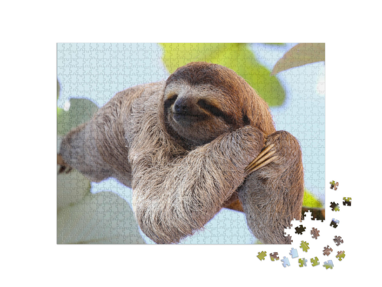 Puzzle 1000 Teile „Glückliches Faultier hängt am Baum“