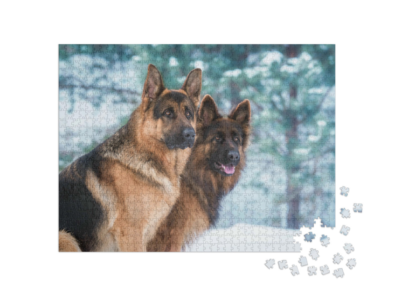 Puzzle 1000 Teile „Porträt von zwei Deutschen Schäferhunden im Winter“