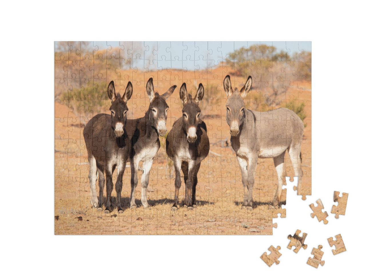 Puzzle 200 Teile „Esel im australischen Outback“