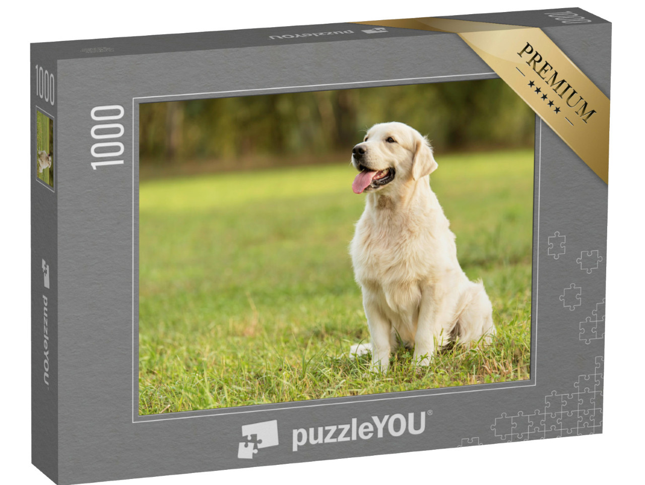 Puzzle 1000 Teile „Golden Retriever im Park“