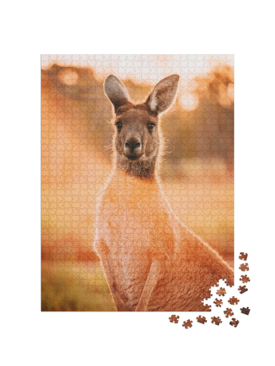 Puzzle 1000 Teile „Känguru im Sonnenuntergang, Perth, Westaustralien“