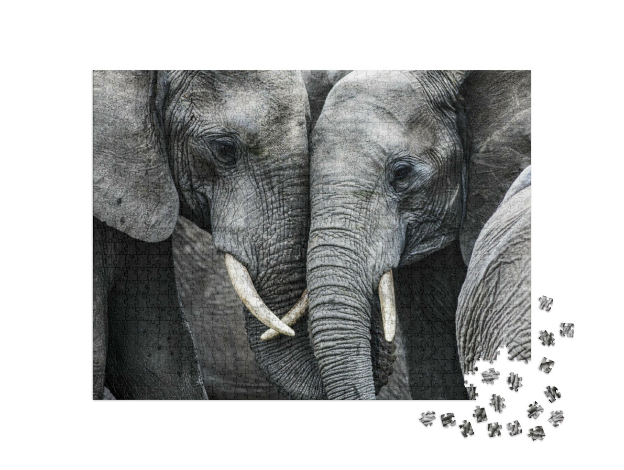 Puzzle 1000 Teile „Elefanten“
