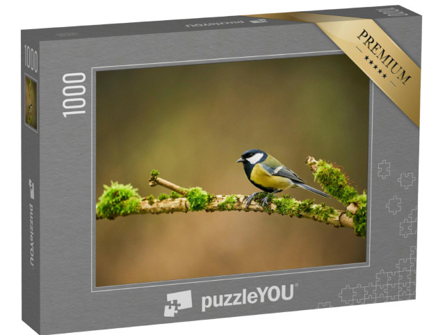 Puzzle 1000 Teile „Kohlmeise auf einem moosbewachsenen Zweig“