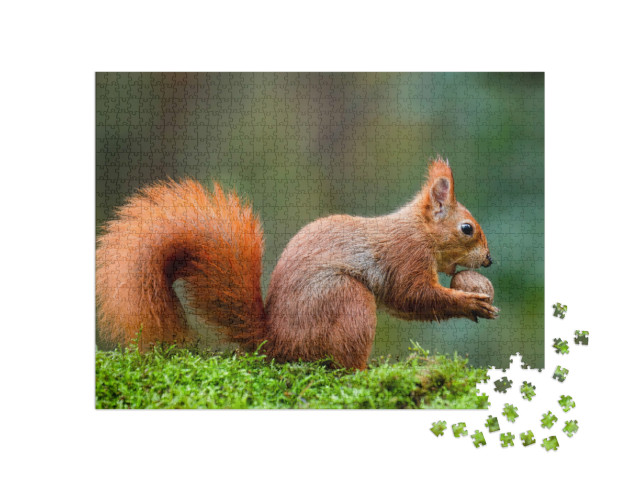 Puzzle 1000 Teile „Ein rotes Eichhörnchen frisst eine Nuss auf einem Moosstamm“