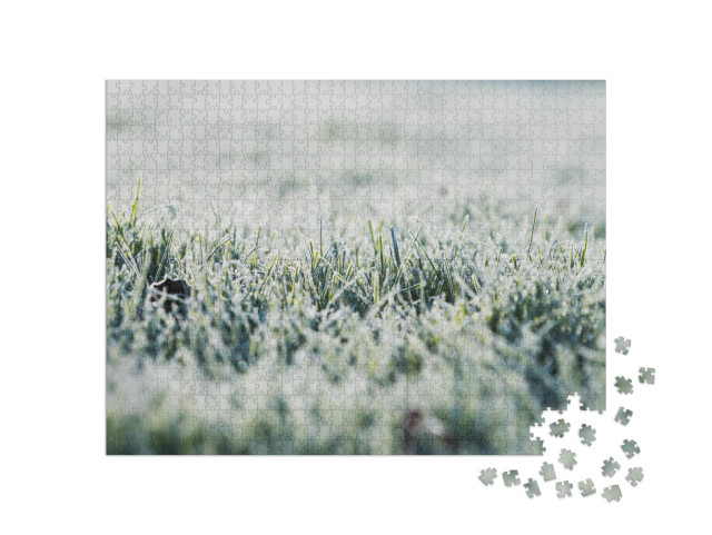 Puzzle 1000 Teile „Frost auf dem Gras in der kalten Jahreszeit“