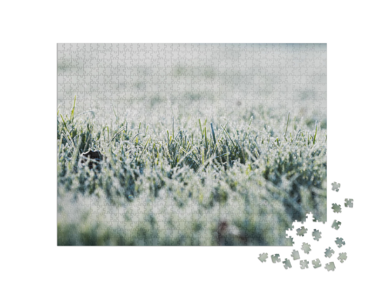 Puzzle 1000 Teile „Frost auf dem Gras in der kalten Jahreszeit“
