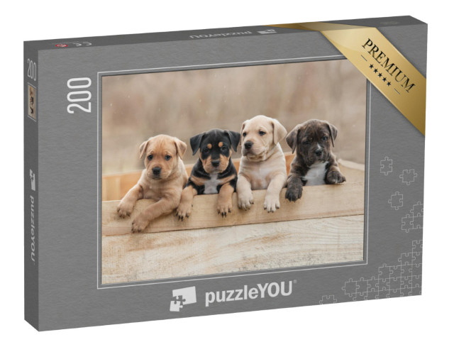 Puzzle 200 Teile „American Staffordshire Terrier-Welpen in einer Box“