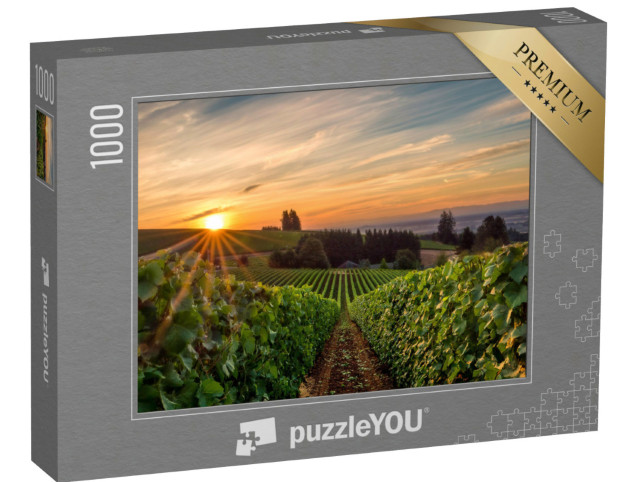 Puzzle 1000 Teile „Sonnenaufgang über einem Weinberg im Willamette Valley“