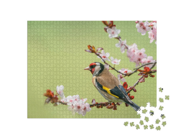 Puzzle 1000 Teile „Bunter Stieglitz auf einem Blütenzweig“