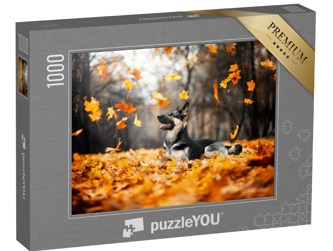 Puzzle 1000 Teile „Schäferhund im wirbelnden Herbstlaub“