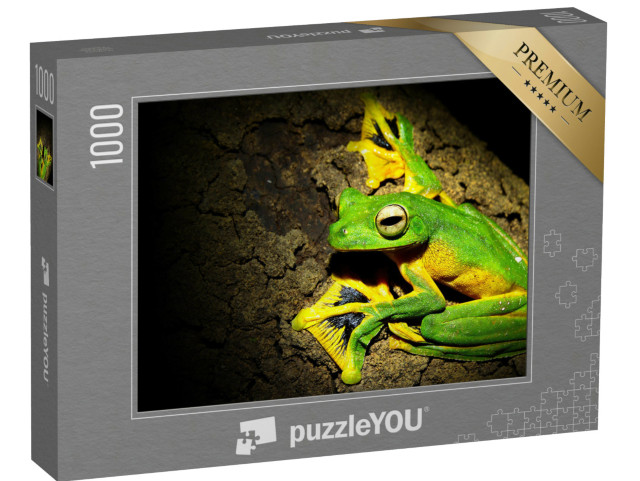 Puzzle 1000 Teile „Wallace's Laubfrosch, bereit zum Sprung“