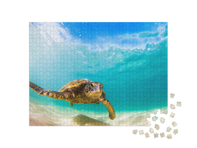 Puzzle 1000 Teile „Grüne Meeresschildkröte, Hawaii“