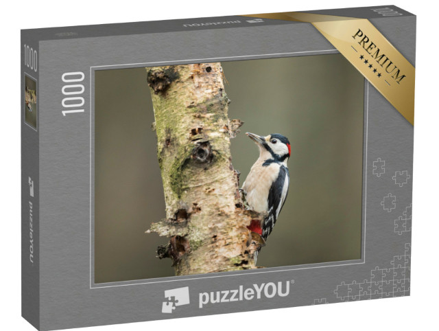 Puzzle 1000 Teile „Buntspecht auf der Suche nach Nahrung an einer Birke“