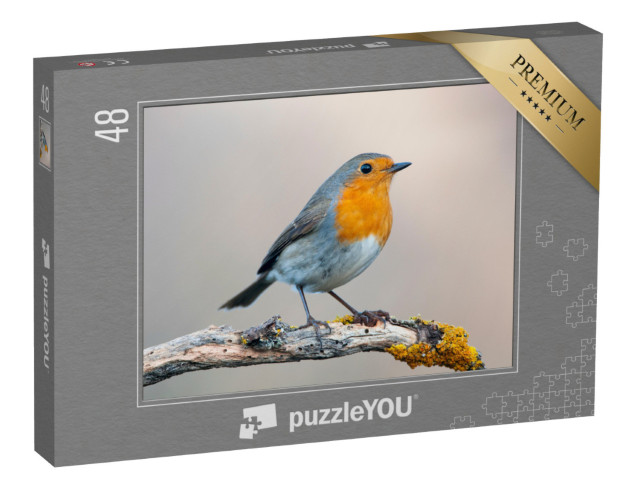 Puzzle 48 Teile „Neugieriges Rotkehlchen“