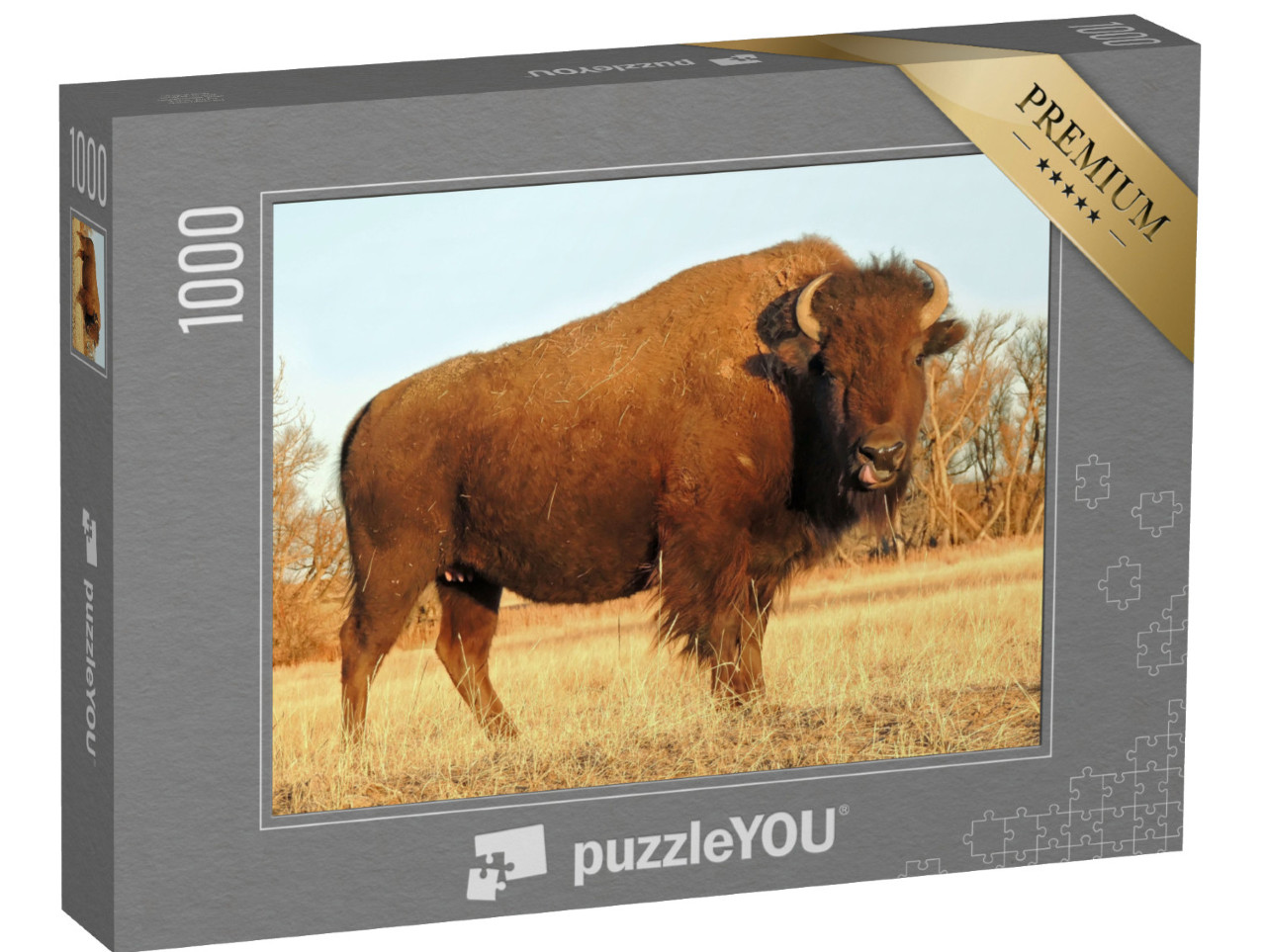 Puzzle 1000 Teile „Amerikanischer Bison, Rocky Mountain, Colorado“