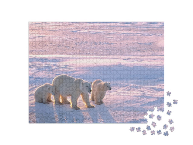 Puzzle 1000 Teile „Eisbär mit Jungtieren in der kanadischen Arktis“
