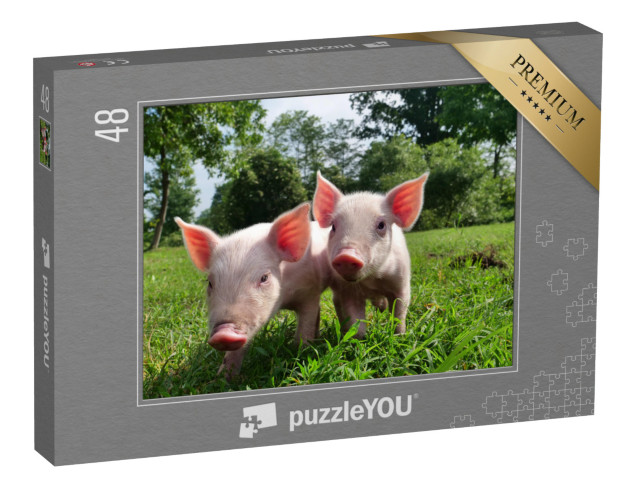 Puzzle 48 Teile „Zwei Ferkel auf einer grünen Wiese“