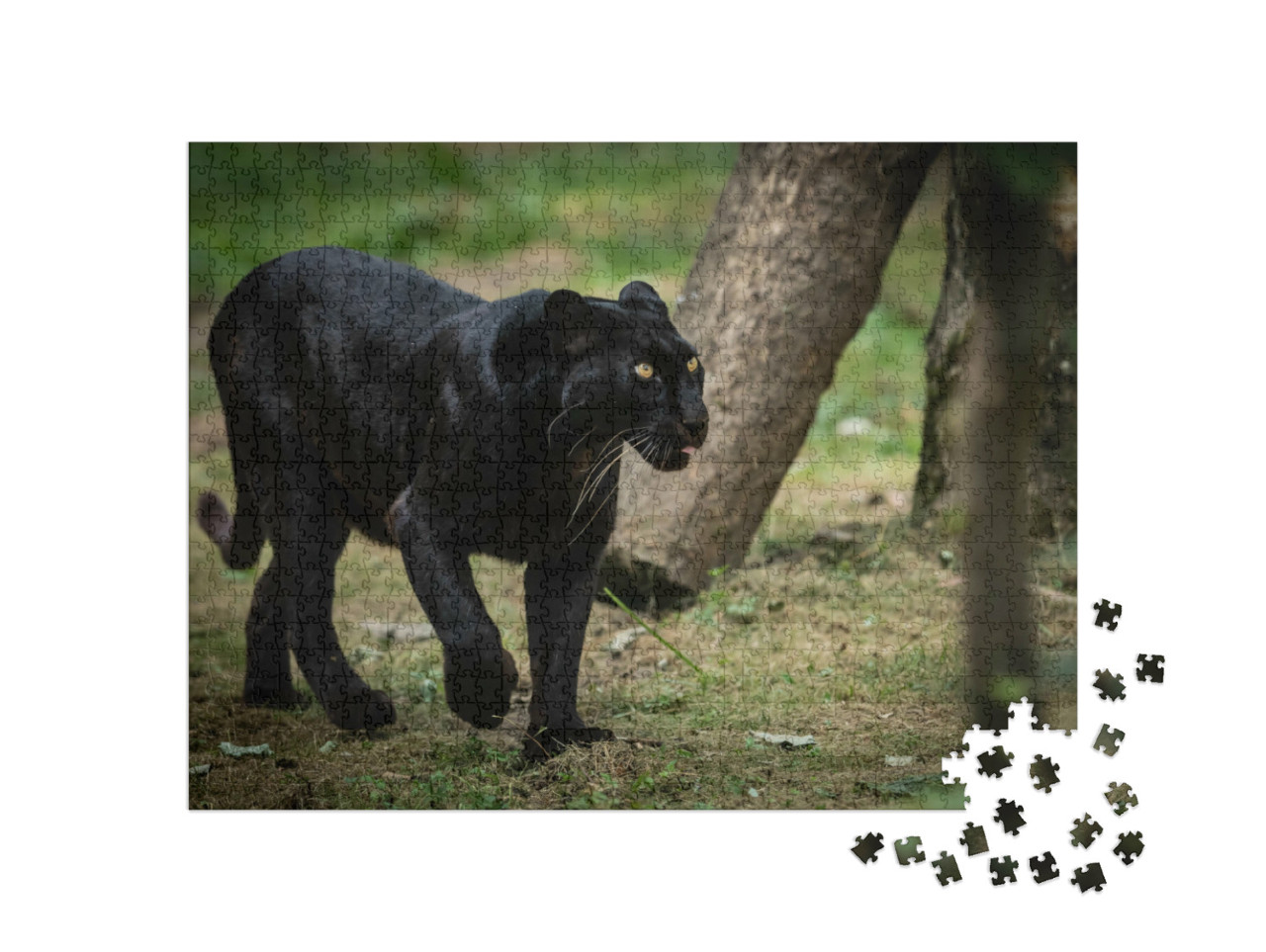 Puzzle 1000 Teile „Waldbild mit einem Panther“