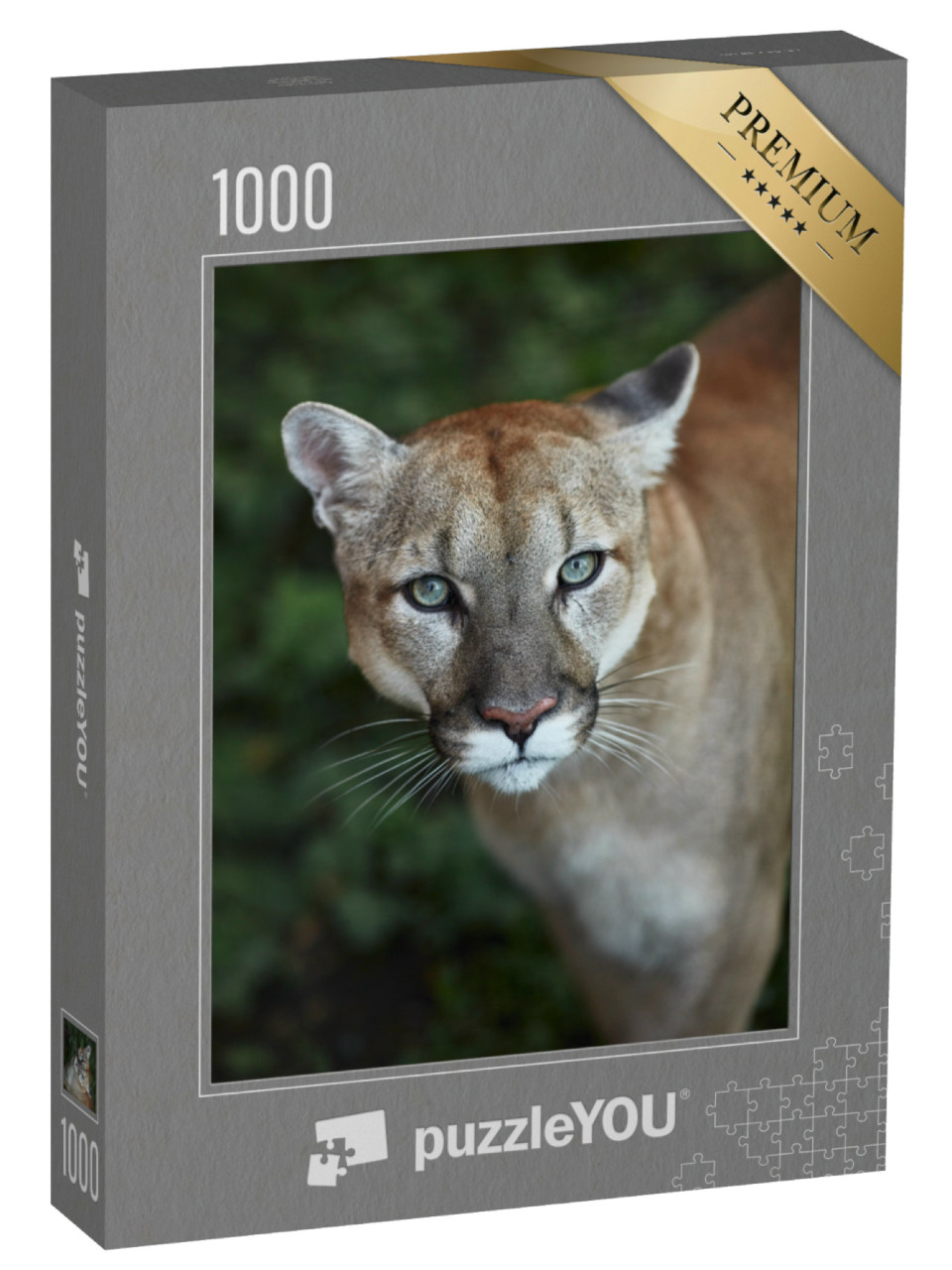 Puzzle 1000 Teile „Auge in Auge mit einem Puma“