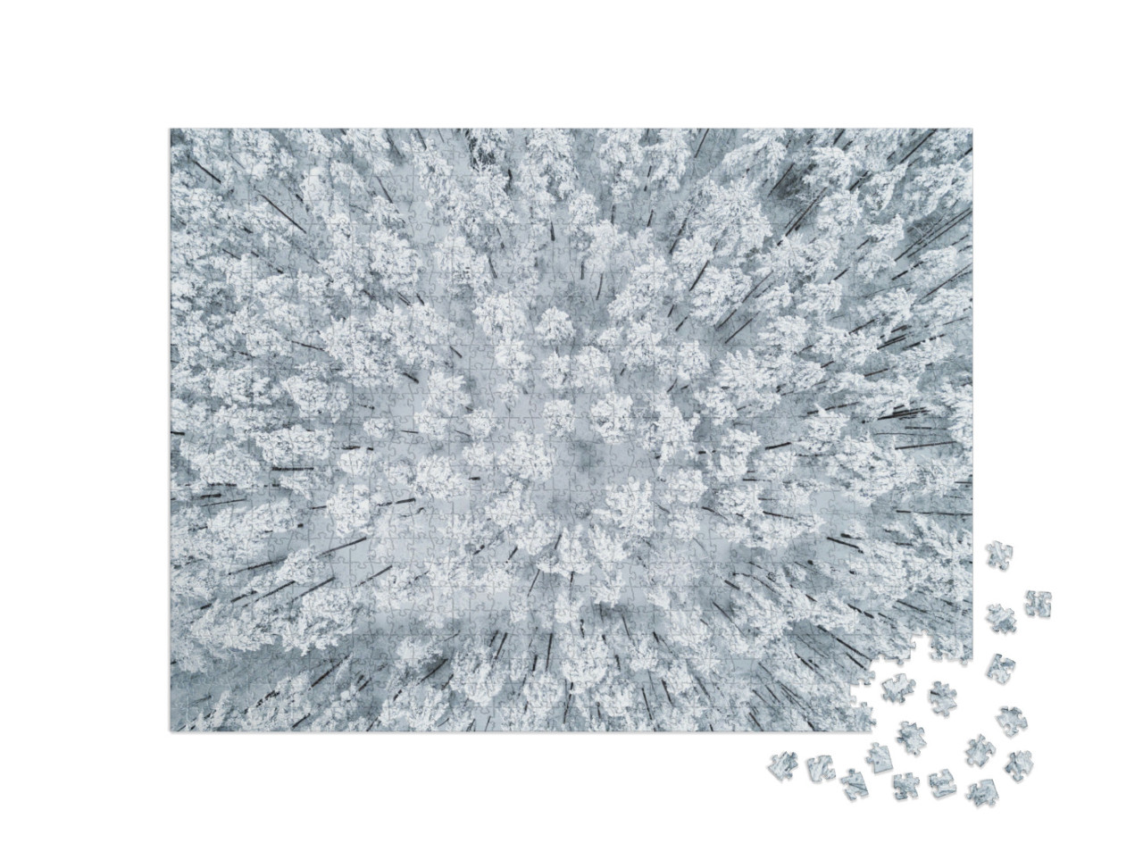 Puzzle 1000 Teile „Winterlicher, schneebedeckter Kiefernwald“