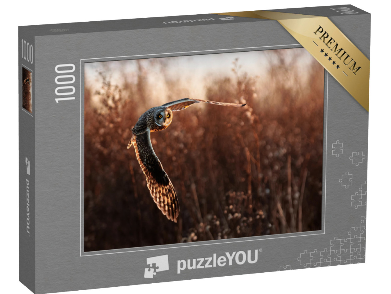 Puzzle 1000 Teile „Sumpfohreule im Flug bei der Jagd“